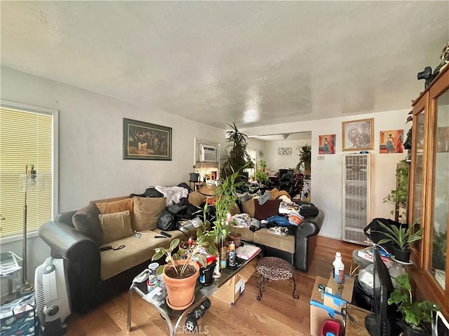 living room featuring wood-type flooring and a barn door