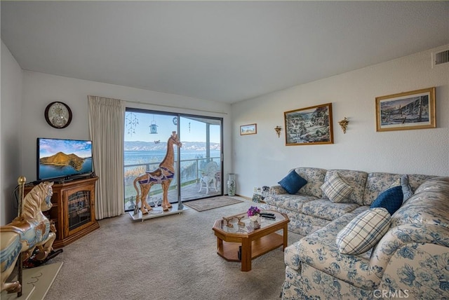 10 Royale Ave Unit 13A-2, Lakeport, CA 95453 - living area with carpet floors and visible vents