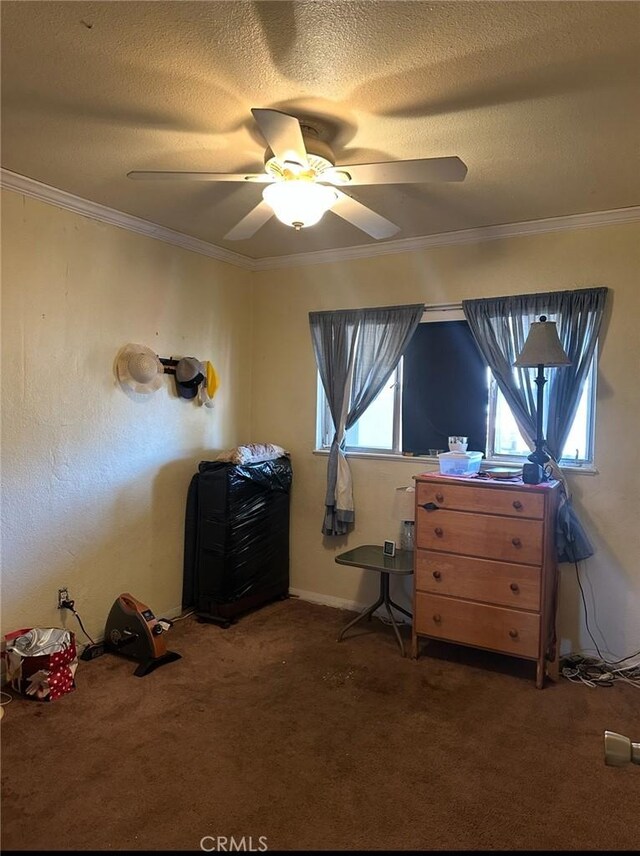 2922 Radnor Ave, Long Beach, CA 90815 - bedroom with a ceiling fan, carpet, a textured ceiling, and multiple windows