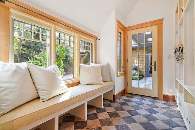 interior space with vaulted ceiling and a wealth of natural light