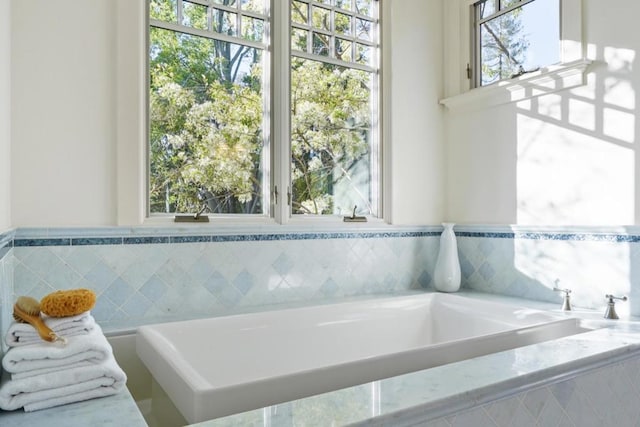 bathroom featuring a wealth of natural light