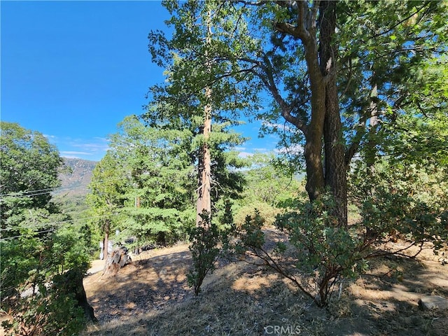 203 Canyon View Dr, Crestline CA, 92325 land for sale