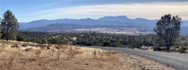 19825 Nicholas Way, Middletown, CA 95461 - photo 2