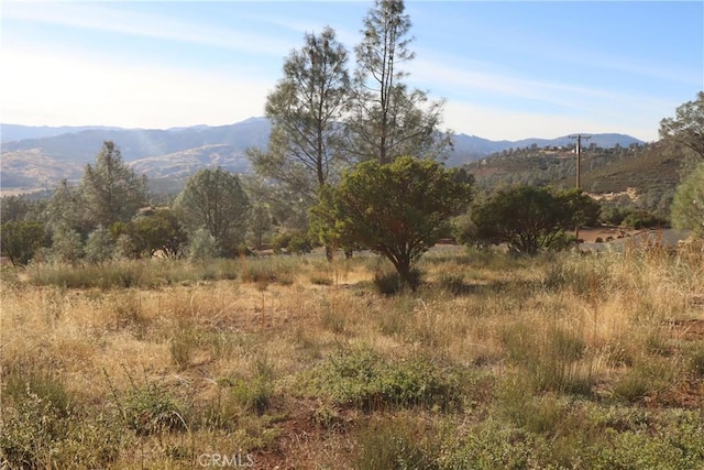 19825 Nicholas Way, Middletown, CA 95461 - photo 10