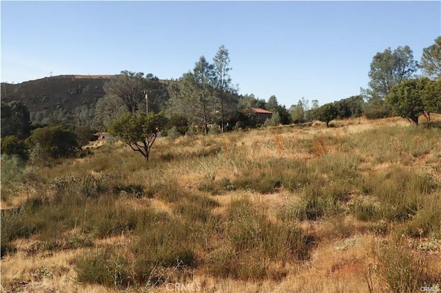 19825 Nicholas Way, Middletown, CA 95461 - photo 5