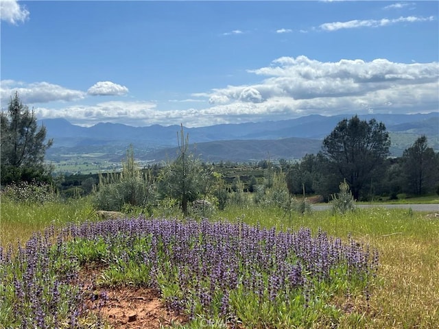 19825 Nicholas Way, Middletown, CA 95461 - photo 4