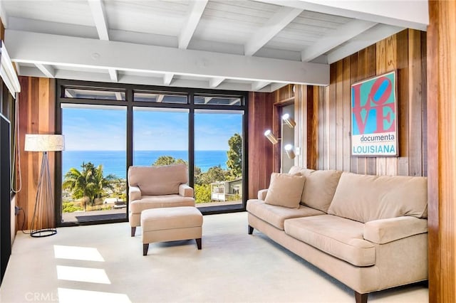 22315 3rd Ave, Laguna Beach, CA 92651 - living area featuring carpet flooring, wood walls, beamed ceiling, and expansive windows