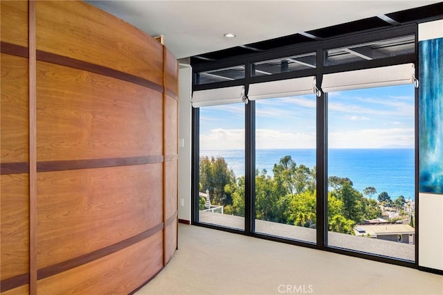 doorway with carpet, a water view, and a healthy amount of sunlight