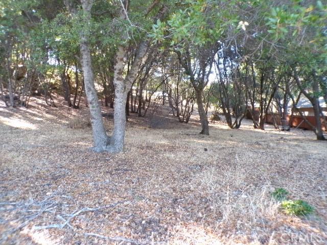 10743 Boren Bega Dr, Kelseyville CA, 95451 land for sale