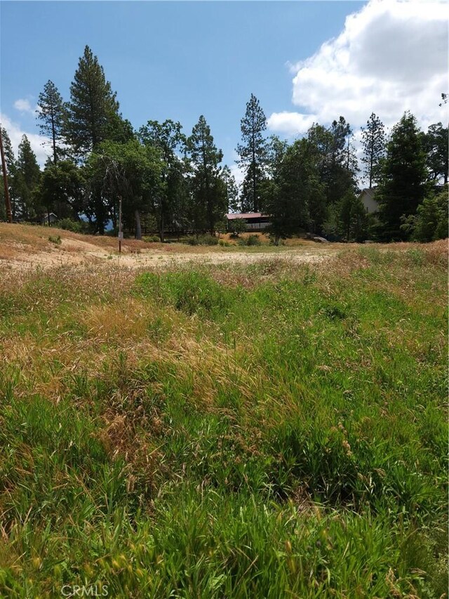 52830 Pine Dr, Oakhurst, CA 93644 - photo 6