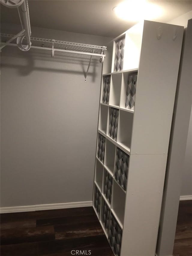 walk in closet with dark wood-type flooring