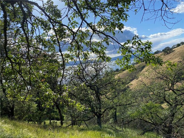 7524 Bruner Dr, Glenhaven, CA 95443 - photo 4