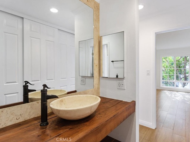 bathroom with wood-type flooring and sink