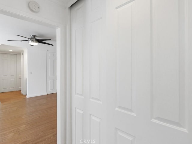 corridor featuring hardwood / wood-style flooring