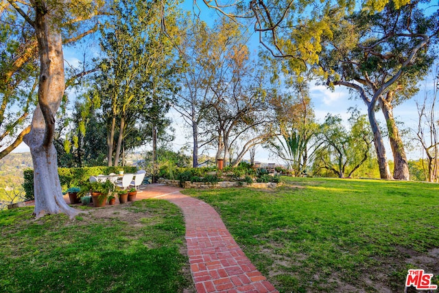 view of home's community featuring a lawn