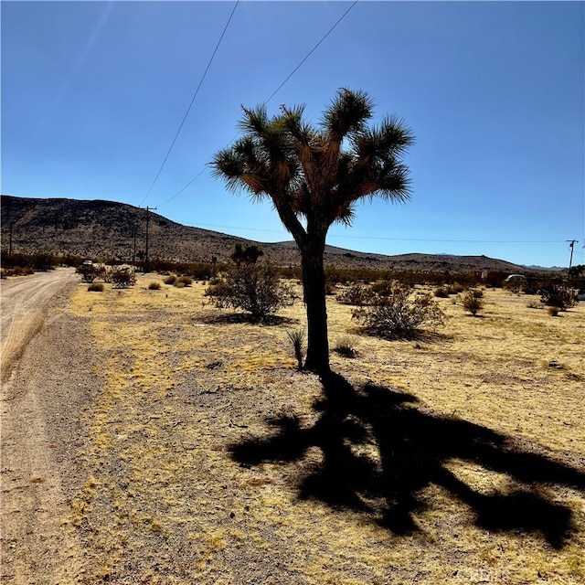 59787 Sharp Ter, Joshua Tree, CA 92252