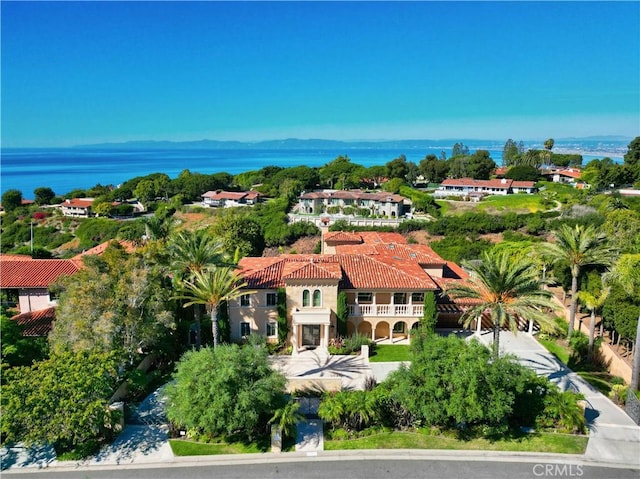 aerial view with a water view