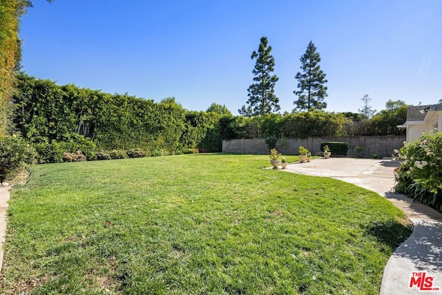 view of yard featuring a patio