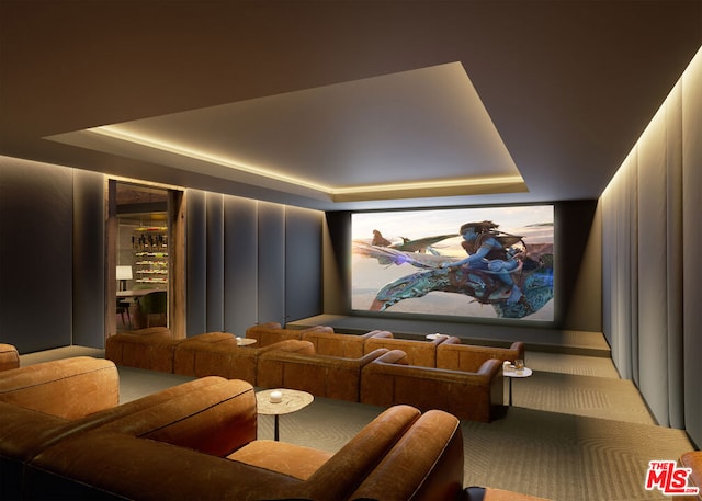 cinema featuring a tray ceiling and light colored carpet