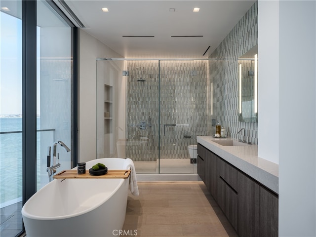 bathroom featuring vanity with extensive cabinet space and plus walk in shower