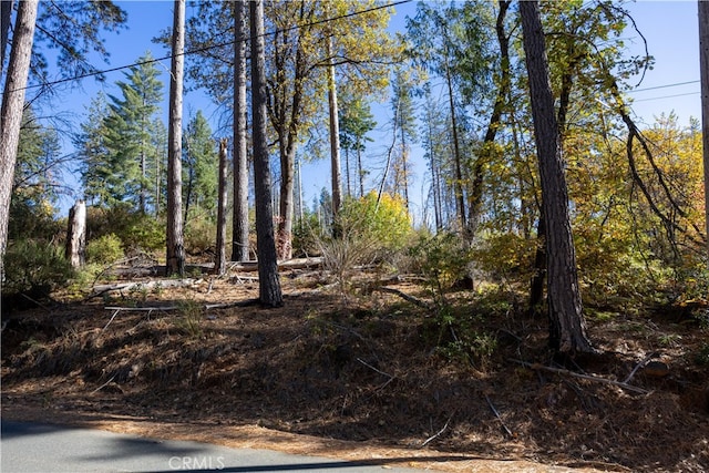 Listing photo 2 for 10991 Gifford Springs Rd, Cobb CA 95426