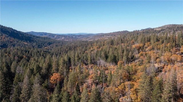 10971 Gifford Springs Rd, Cobb, CA 95426 - photo 7
