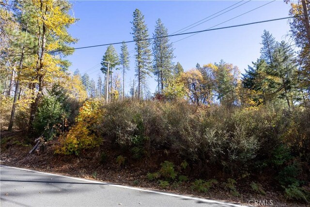 10971 Gifford Springs Rd, Cobb, CA 95426 - photo 2