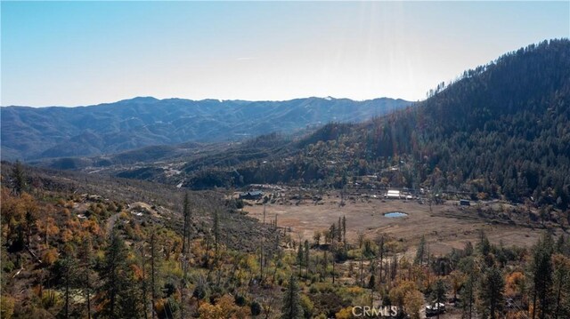 10971 Gifford Springs Rd, Cobb, CA 95426 - photo 6