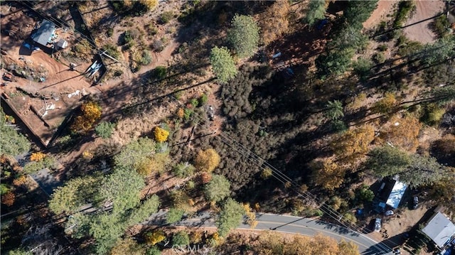 10981 Gifford Springs Rd, Cobb, CA 95426 - photo 4