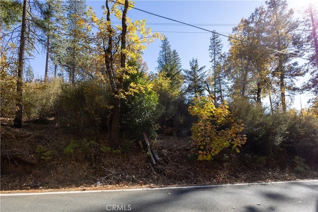 10981 Gifford Springs Rd, Cobb, CA 95426 - photo 2