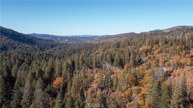 10981 Gifford Springs Rd, Cobb, CA 95426 - photo 7