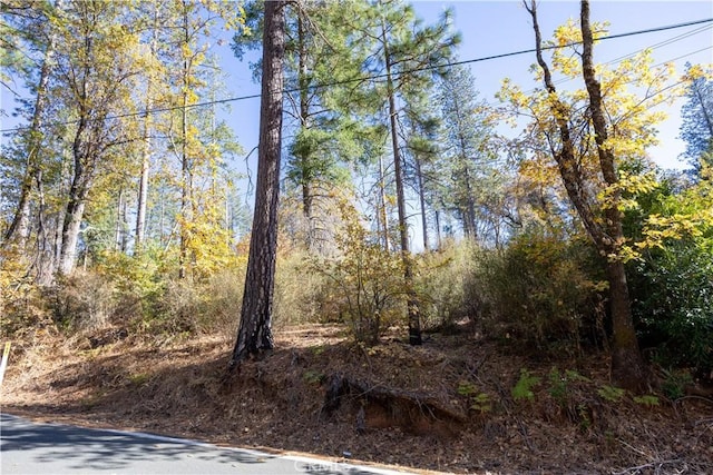 10981 Gifford Springs Rd, Cobb, CA 95426 - photo 1