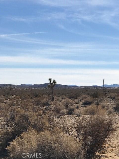 Listing photo 3 for 0 Belfield Blvd, Landers CA 92285