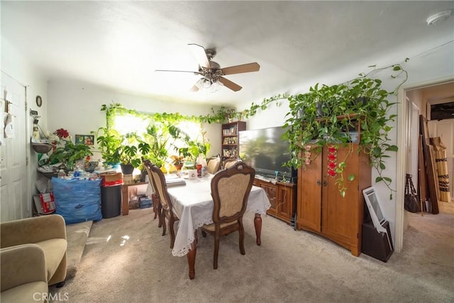 5965 W Blvd, Los Angeles, CA 90043 - photo 15