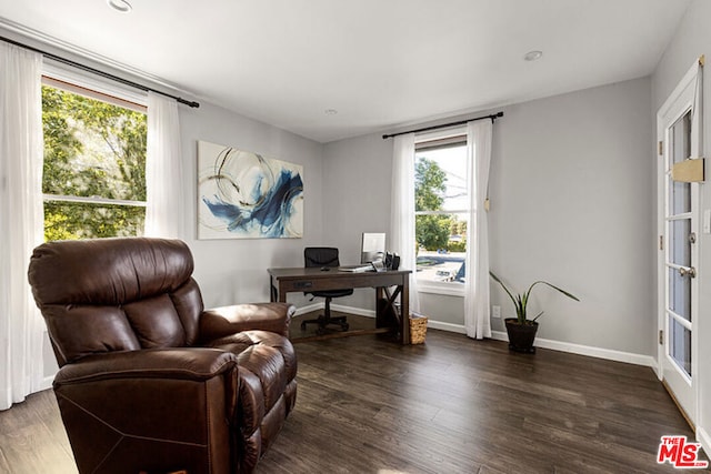 office space featuring dark hardwood / wood-style flooring and plenty of natural light