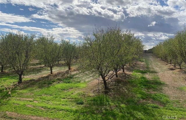 view of local wilderness featuring a rural view