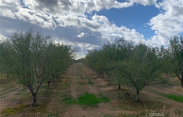 view of landscape with a rural view