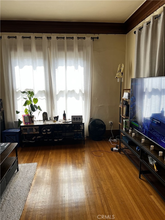 living room featuring hardwood / wood-style flooring