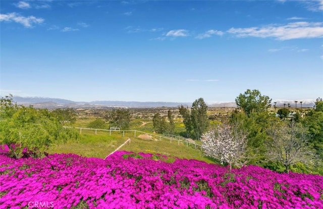 view of local wilderness with a rural view