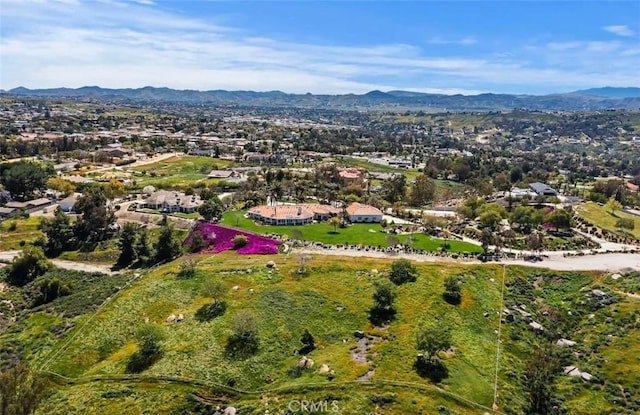 birds eye view of property featuring a mountain view