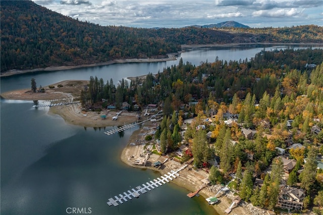 birds eye view of property with a water and mountain view