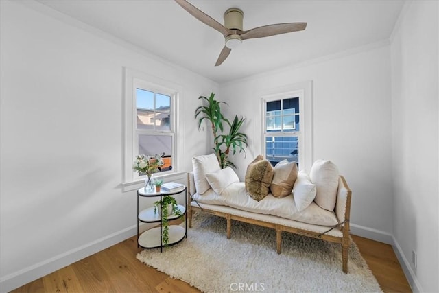 living area featuring ceiling fan and wood-type flooring