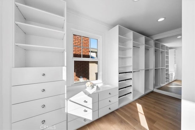 spacious closet with light hardwood / wood-style flooring