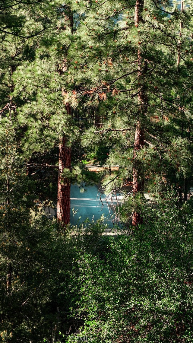 view of water feature