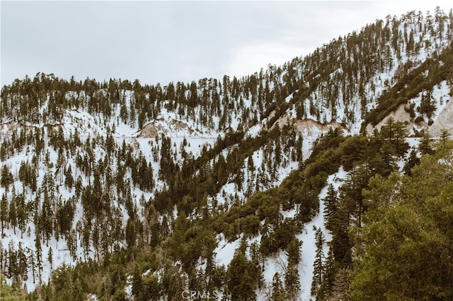 snowy view featuring a mountain view