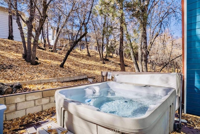 view of yard featuring a hot tub