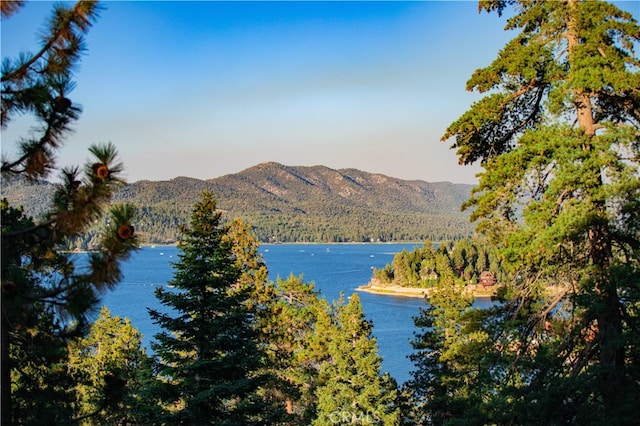 view of water feature featuring a mountain view