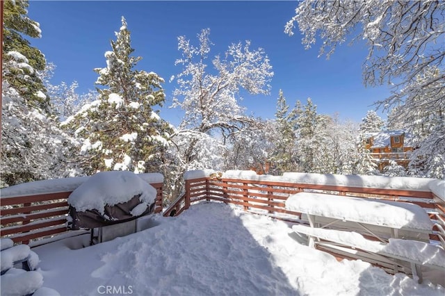 view of yard covered in snow