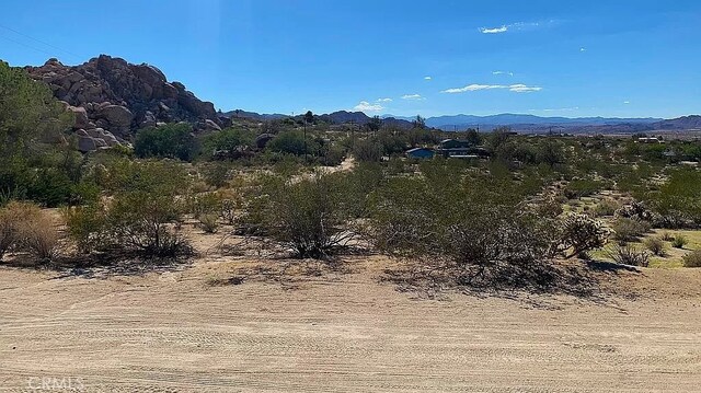 66058 Foothill Dr, Joshua Tree, CA 92252 - photo 5