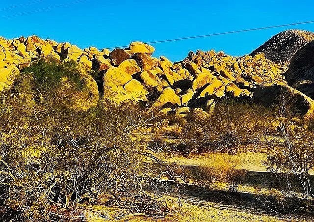 66058 Foothill Dr, Joshua Tree, CA 92252 - photo 3